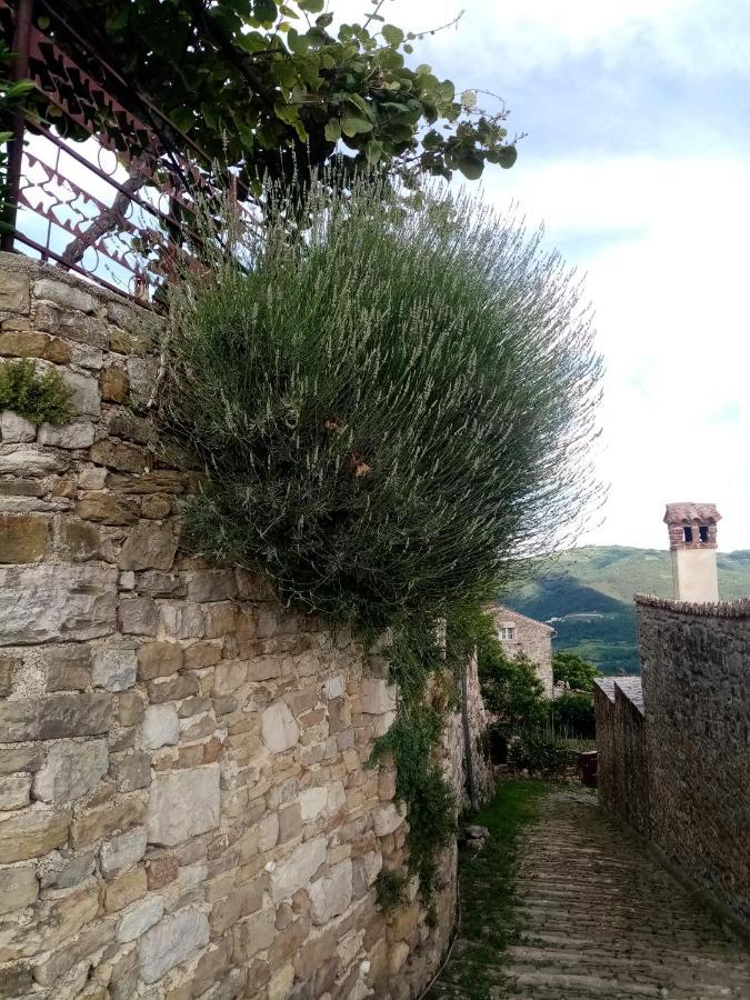 Rooms Serafin-Lavanda Motovun Εξωτερικό φωτογραφία