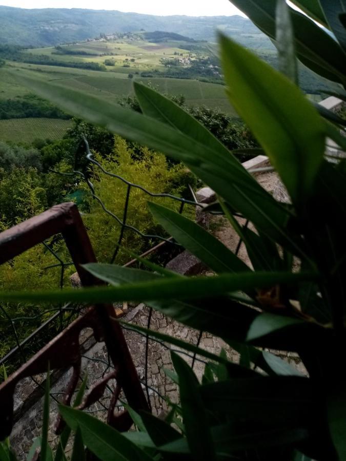 Rooms Serafin-Lavanda Motovun Εξωτερικό φωτογραφία